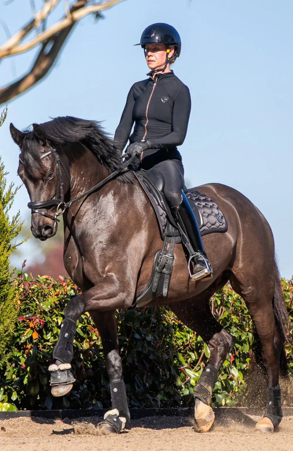 BARE Signature Breeches - Black