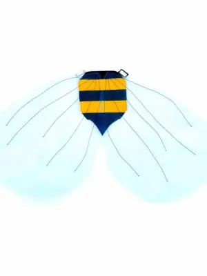 Bumble Bee Wings