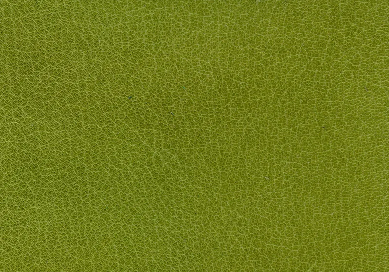 Harmatan Goat Leather Medium Green Split #16