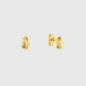 Moka Shell Gold Vermeil Stud Earrings