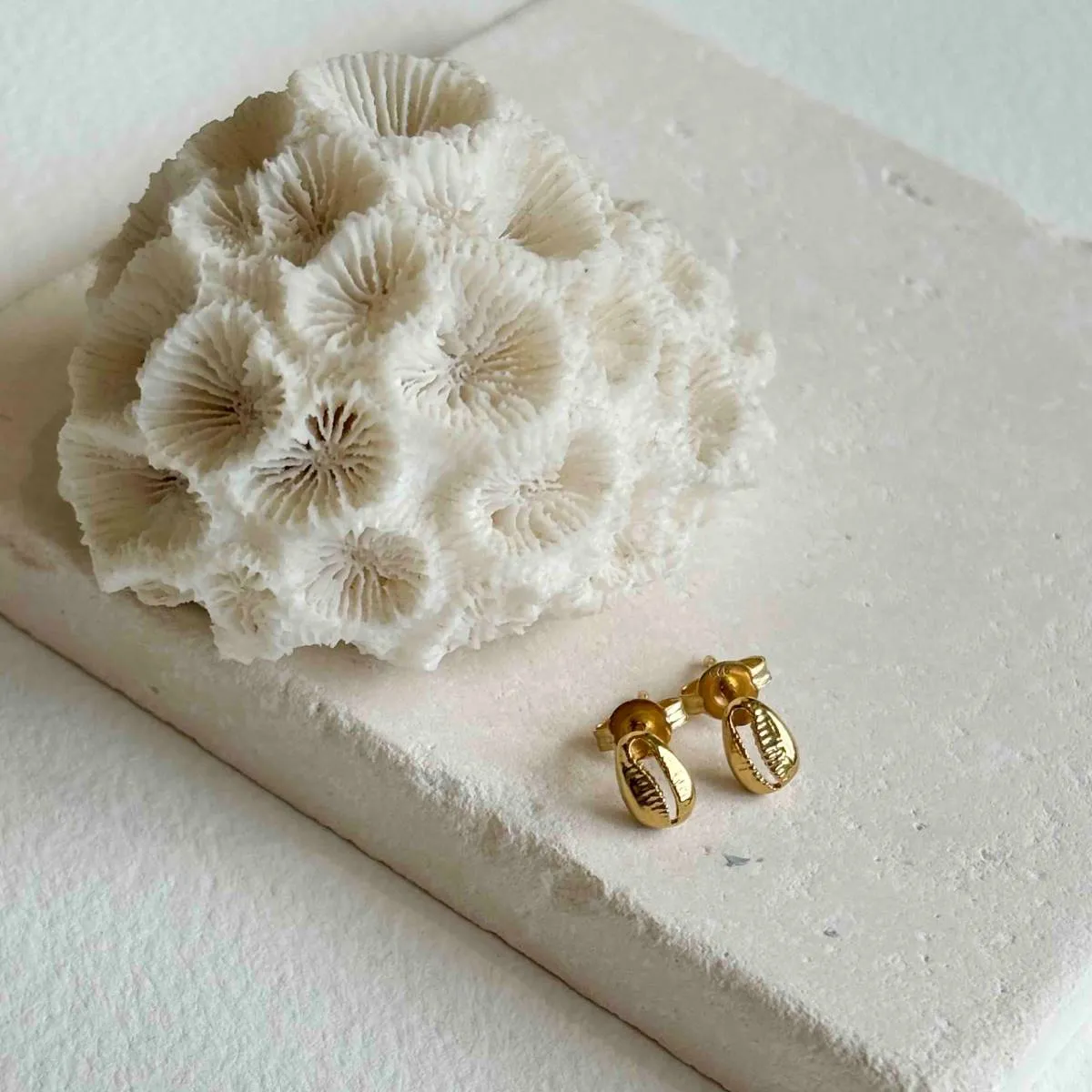 Moka Shell Gold Vermeil Stud Earrings