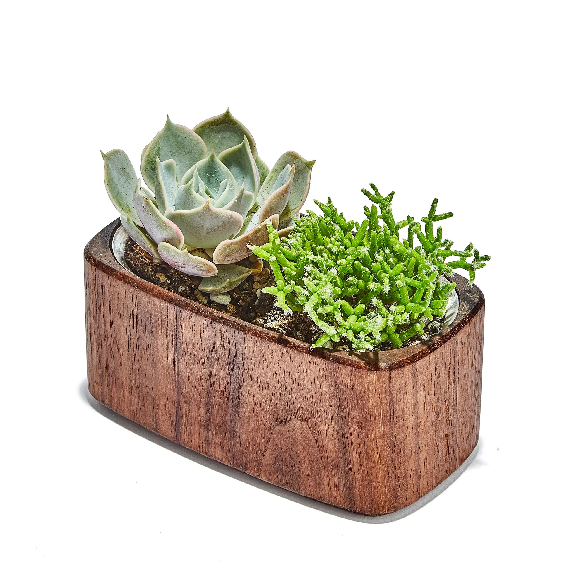 Planter (Walnut / Wide)