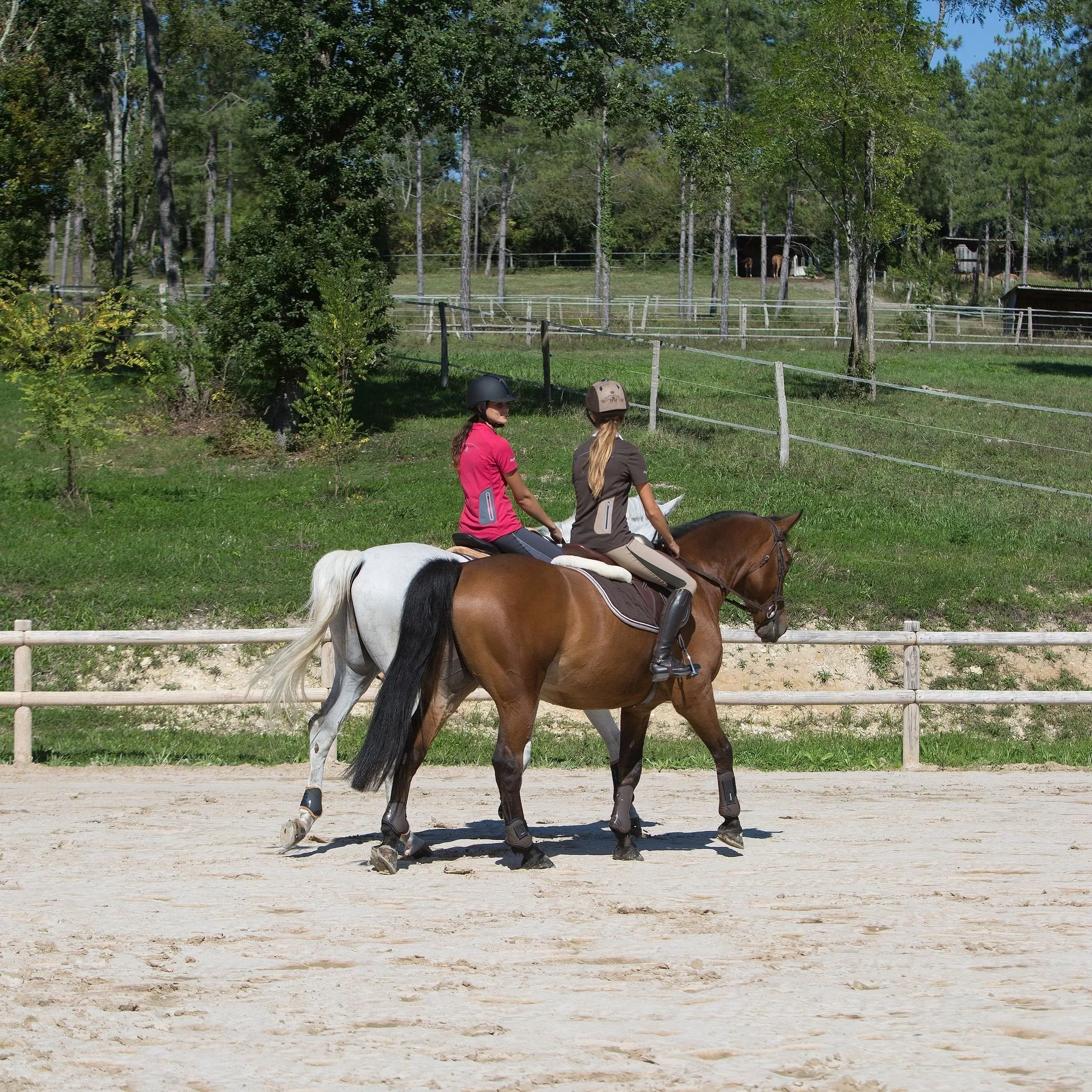 Women's Light Mesh Riding Training Jodhpurs