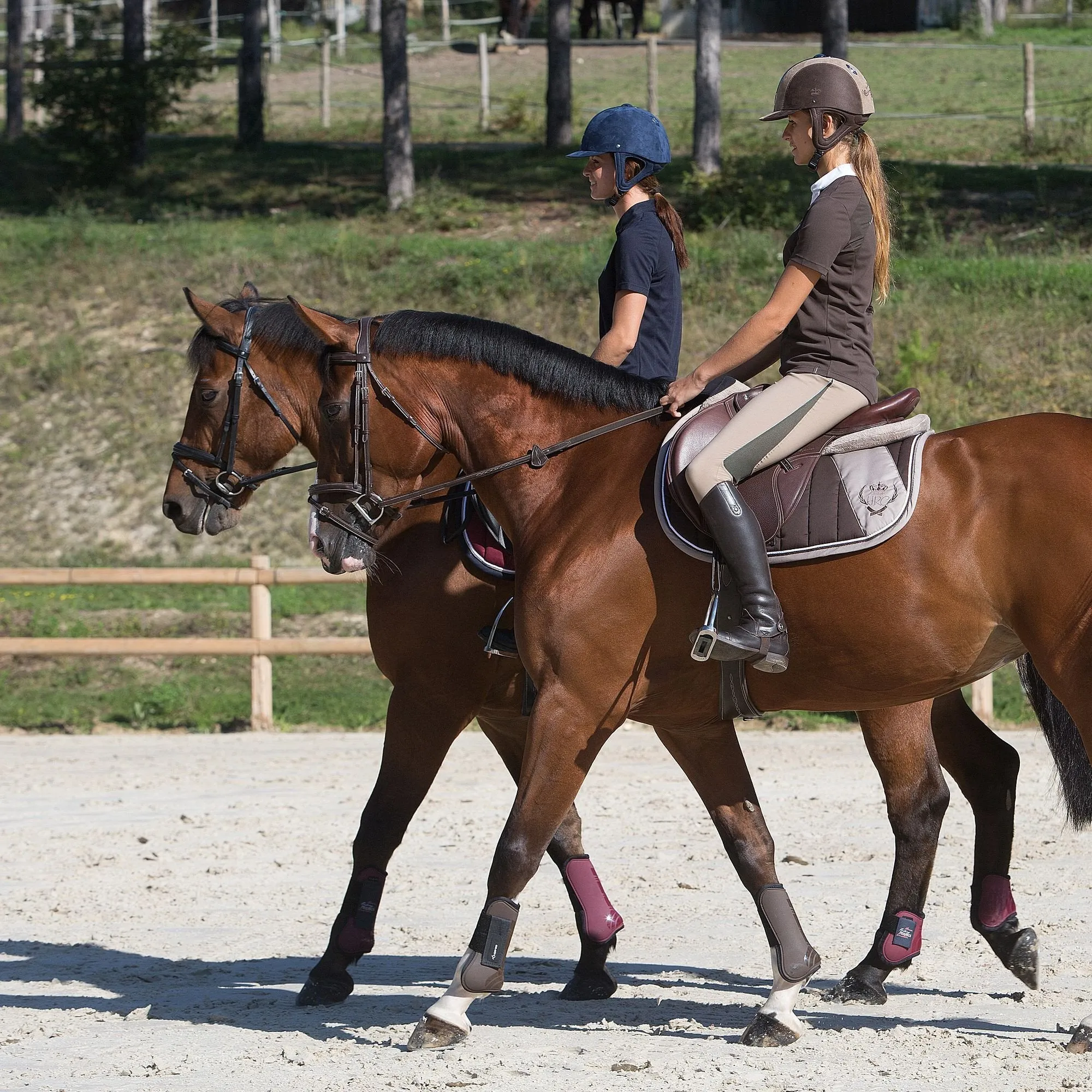 Women's Light Mesh Riding Training Jodhpurs