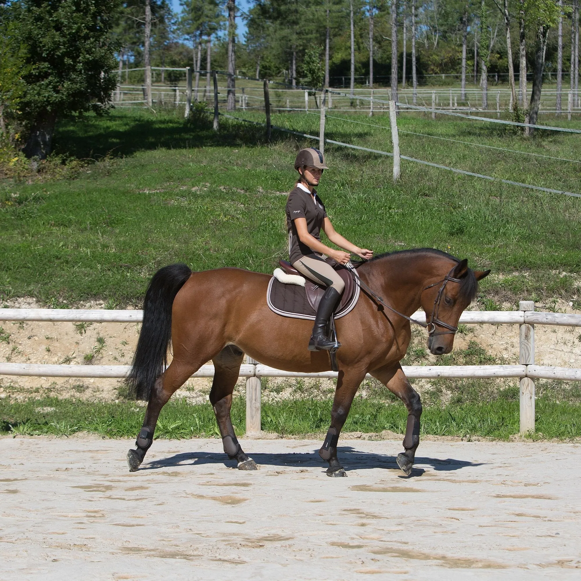 Women's Light Mesh Riding Training Jodhpurs